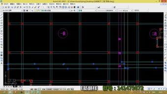 e筋翻样视频,高效翻样技巧全解析