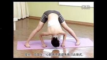 练瑜伽视频教程