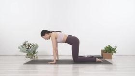 练瑜伽视频教程