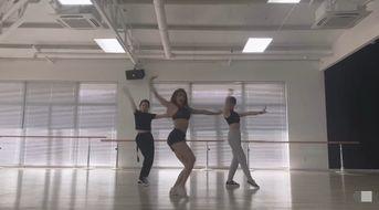 温柔舞蹈视频,温柔舞蹈视频魅力解析