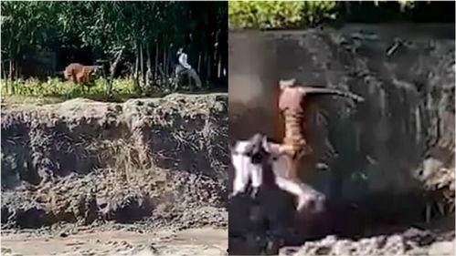 撵视频,揭秘短视频制作背后的创意与技巧