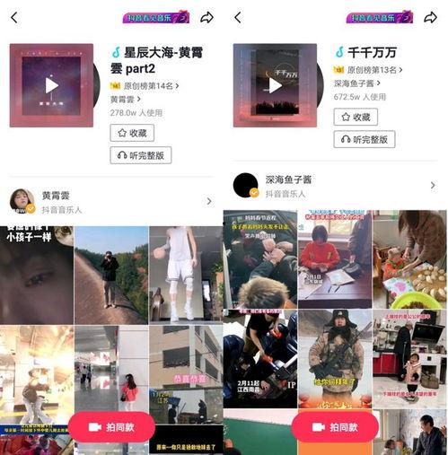 乐营视频,音乐盛宴中的青春旋律与梦想启航