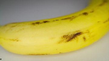 香蕉在视频,热带水果的甜蜜诱惑与营养价值揭秘