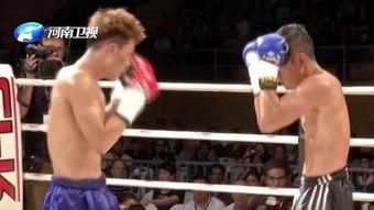 武林风的视频,激情四溢的武术盛宴