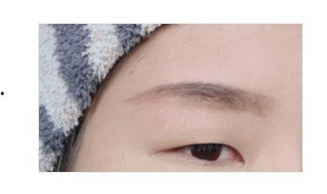 小画眉视频,捕捉自然之美,探寻生命奥秘