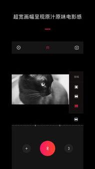 vue朋友圈视频,捕捉生活瞬间，展现个性风采